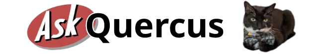 Ask Quercus